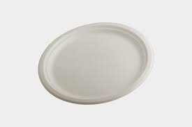 9 inch bagasse, Eco friendly plate
